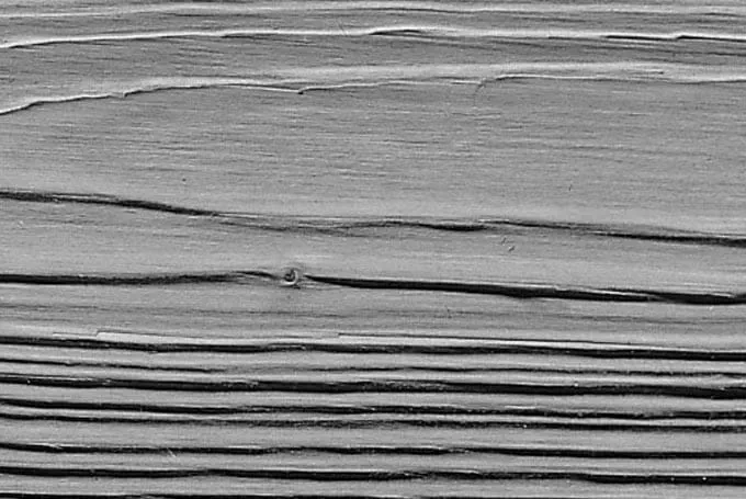 hout borstelen