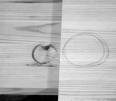 Passende plank uitzoeken