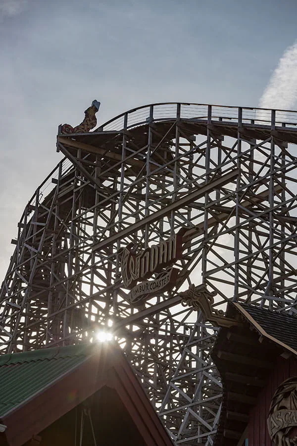 Het schrijnwerkerteam van Europa-Park